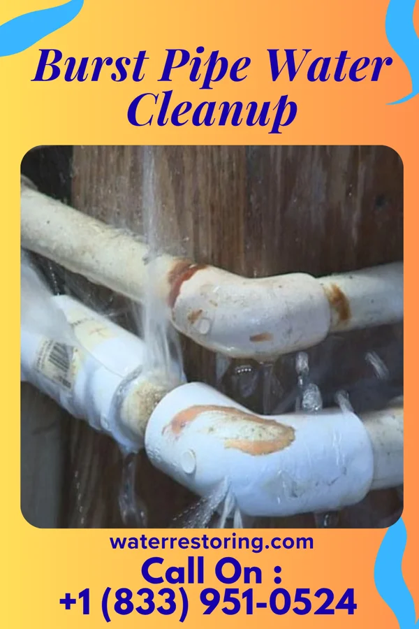 Burst Pipe Water Cleanup in Slayton, MN