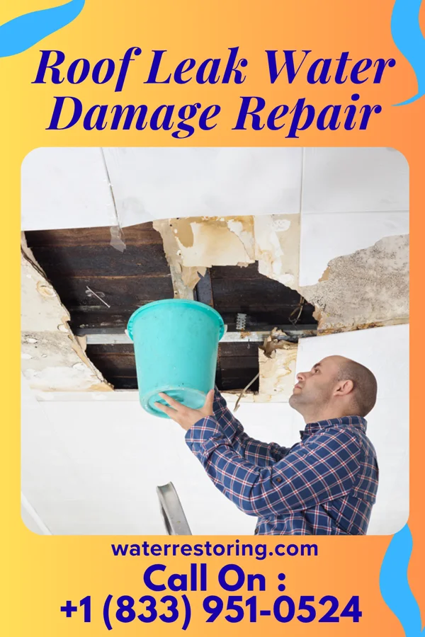 Roof Leak Water Damage Repair in Slayton, MN
