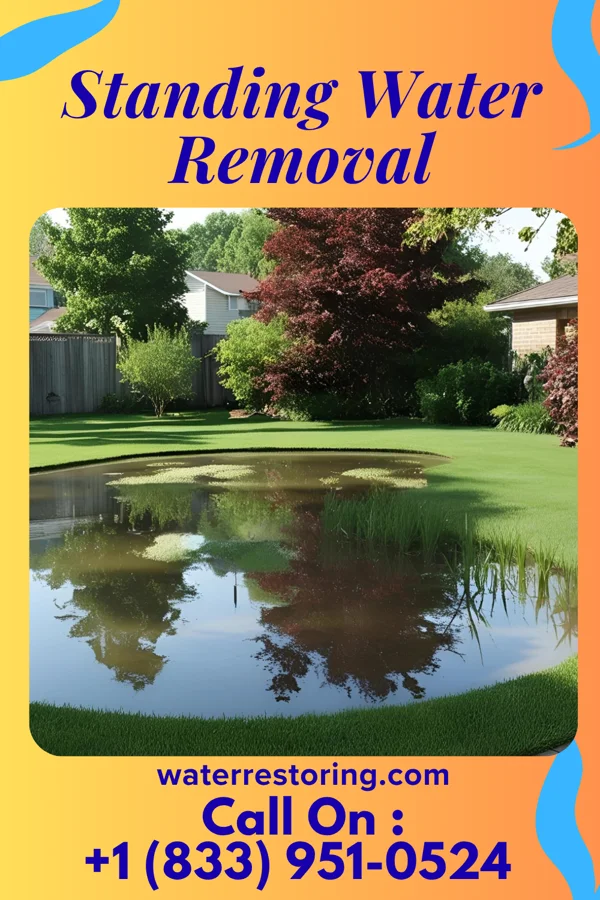 Standing Water Removal in Slayton, MN
